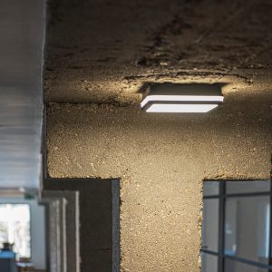 Lampade da soffitto