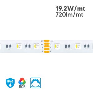 Striscia Led 5mt 24V 96W RGB+W Monocolore IP65